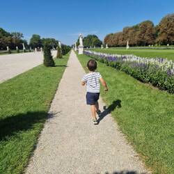 K enjoyed running around freely here