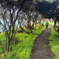 We took shelter from a quick rain deluge under the umbrella of these trees