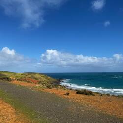 The colours just popped everywhere you looked.