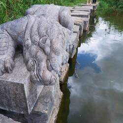 Ein Löwe schaut ob es am See etwas zu angeln gibt.
