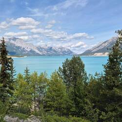 Auf dem Weg nach Nordegg wusste der Abrahams Lake zu überzeugen