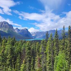 Bei bestem Wetter geht es den Icefields Pathway entlang