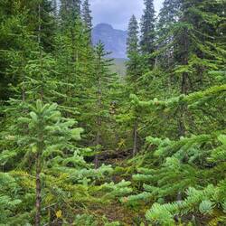 Manchmal wird man dafür belohnt von der Hauptroute abzuweichen. Jedoch nicht an diesem Tag