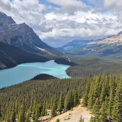Auf dem Bow Pass begeisterte die Aussicht auf Peyto Lake. Nicht im Bild: 374 Touristen