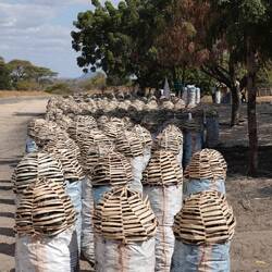 Und wenn gar nichts mehr geht, Holzkohle geht immer