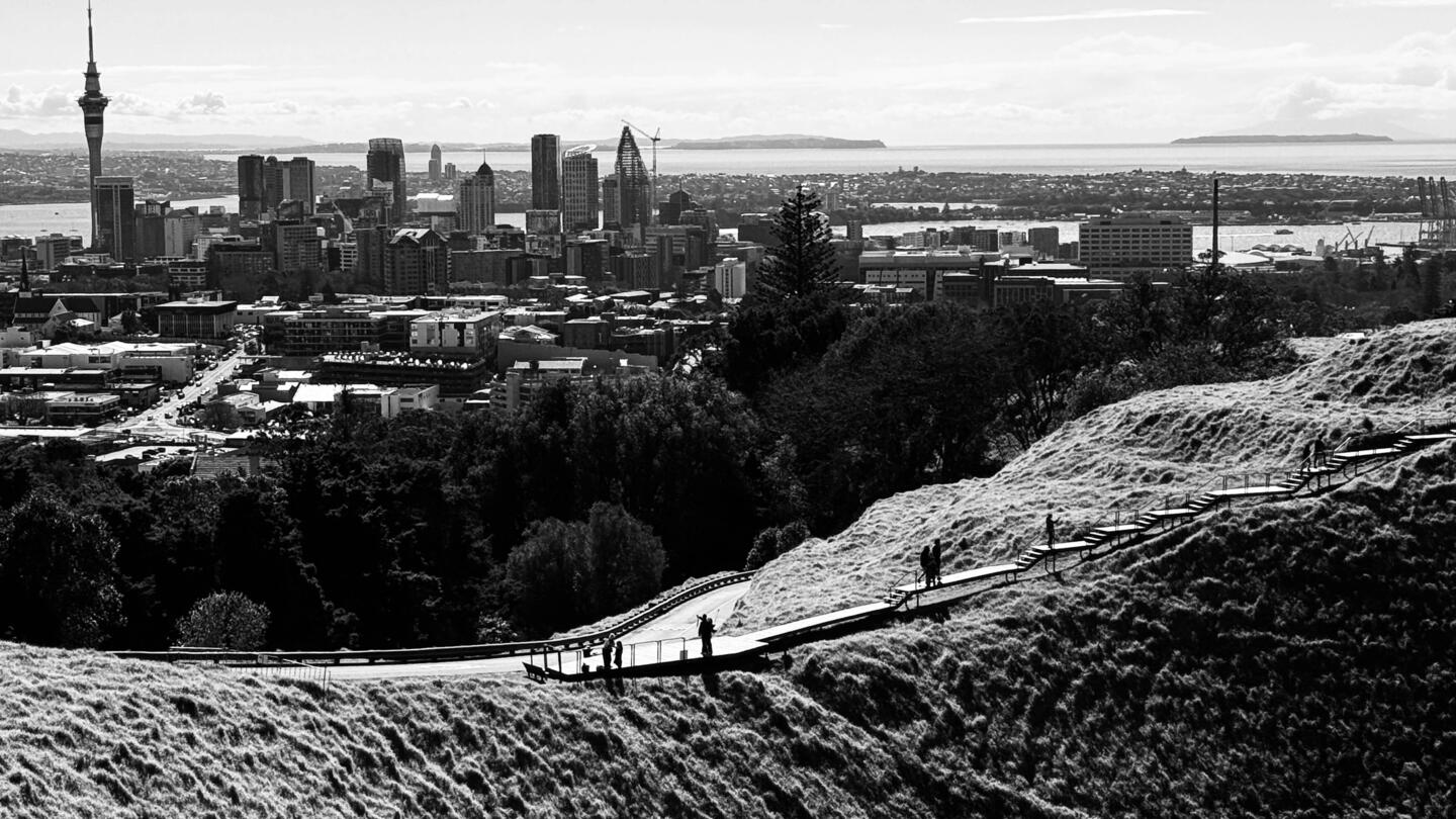 A view from Mount Eden (Maungawhau)