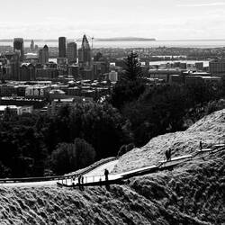 A view from Mount Eden (Maungawhau)