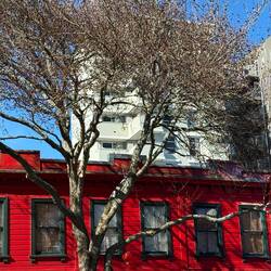 Spring like temperatures and bright sunny days in the city