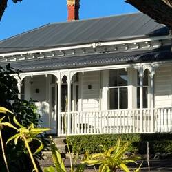 Traditional wooden houses in the Mt. Eden neighbourhood