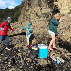 Amanda, Tilda and Riley explore the pools and rocks