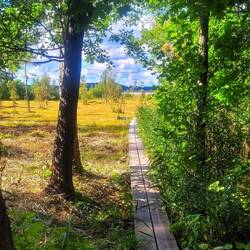 Kleine Moorwanderung....