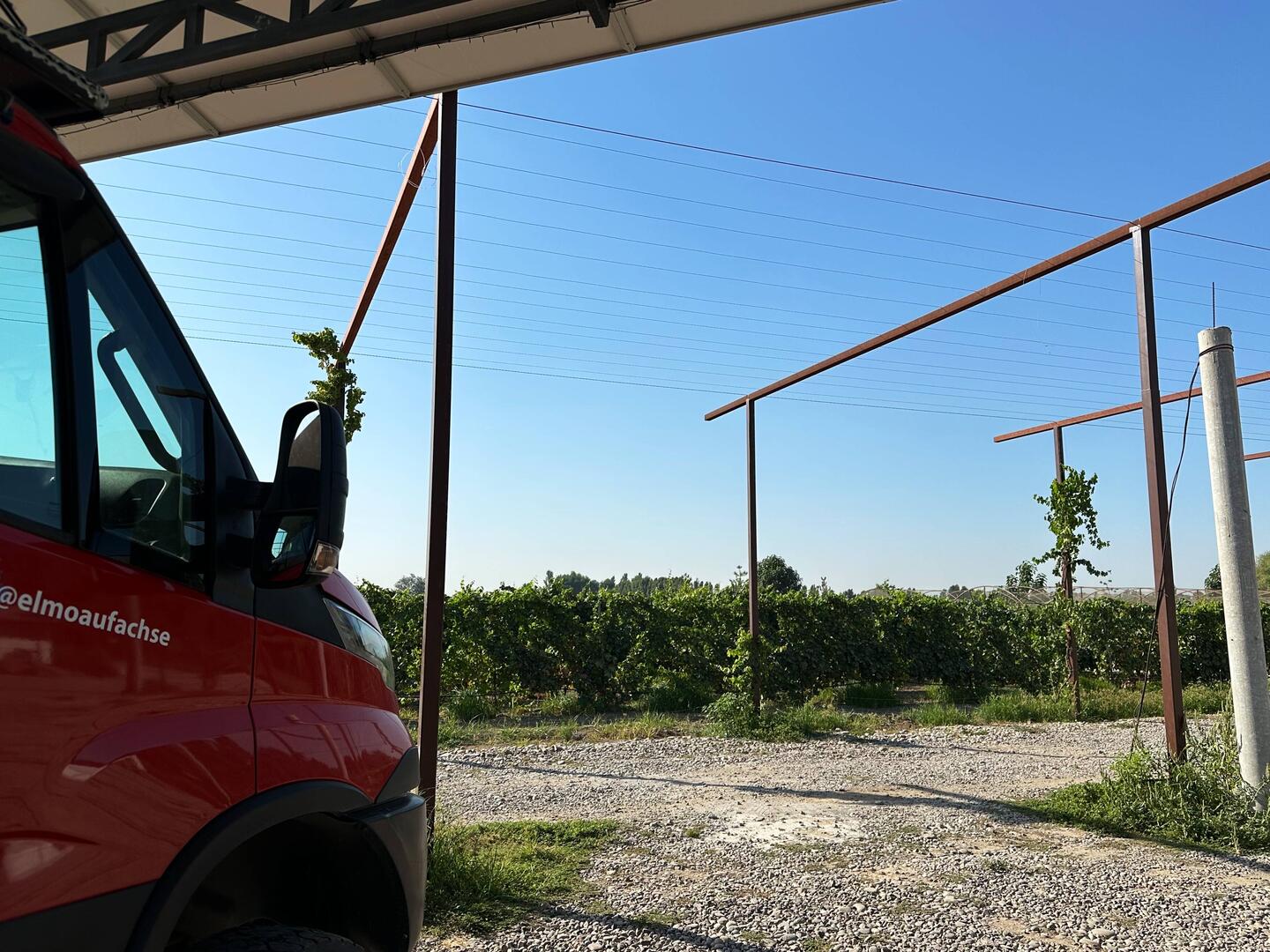 Auf dem Weingut, ruhig, leckeres Essen im Restaurant, guter Wein