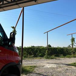 Auf dem Weingut, ruhig, leckeres Essen im Restaurant, guter Wein