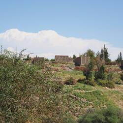 Strukturen zum Rosinentrocknen / Structures for drying if raisins