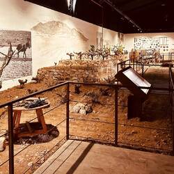 Museum