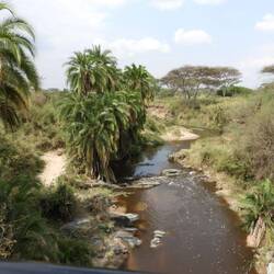 Die fantastischen Landschaften kommen auf keinem Bild richtig rüber