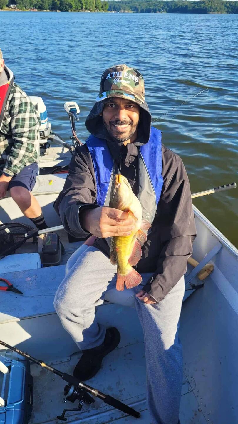 Jackson's catfish