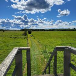 Es gibt mehrere Beobachtungstürme.