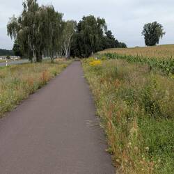 Schöner Radweg