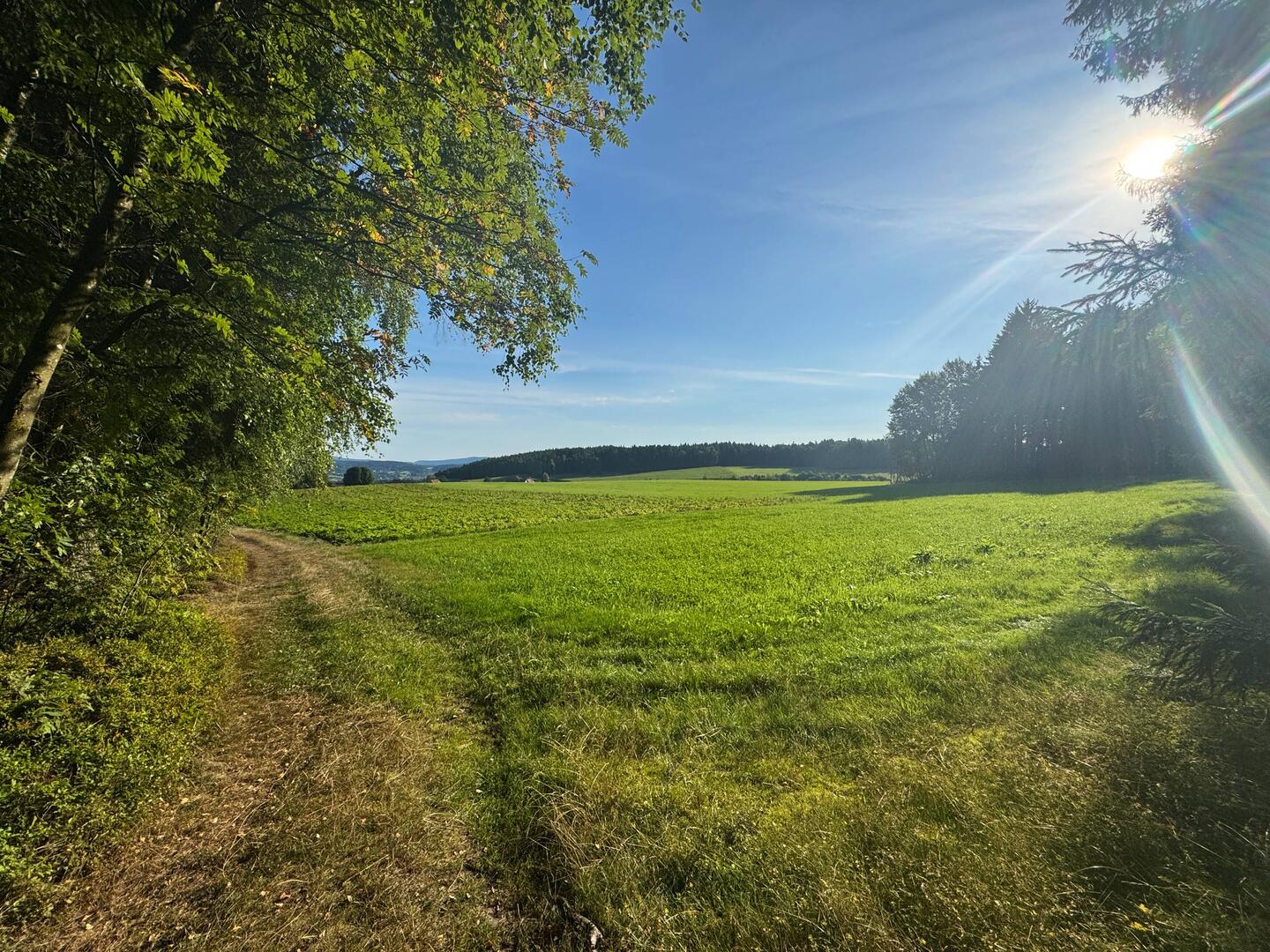 Hoch und raus aus Oberviechtach