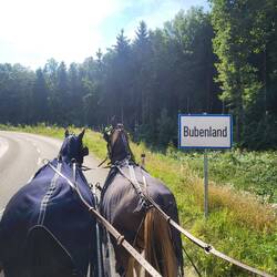 ... jetzt, wo wir keine Buben mehr dabei haben...