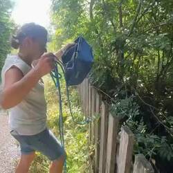 Wasser angeln aus dem Bach