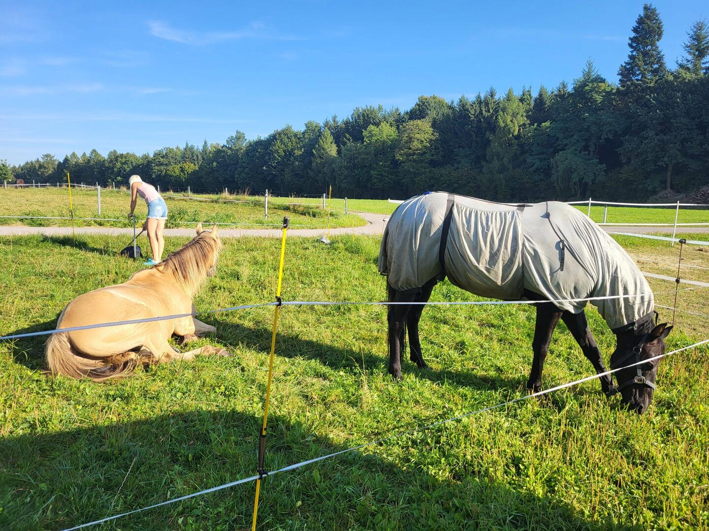 Champus macht vor dem Losfahren noch Siesta