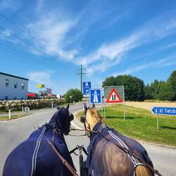 Mist! Wir haben keine Vignette