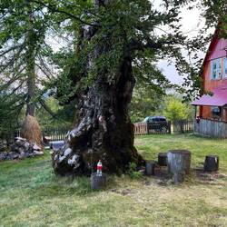 Plan B Dusche (die Colaflasche) 😬