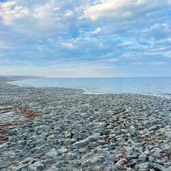 Tanto fango mollo al posto della spiaggia