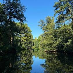 Tiergarten -- Caroline's favorite place in the city 😬