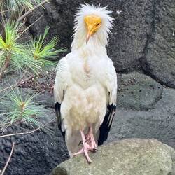 Donny has found his spirit animal.