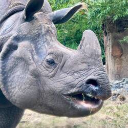 Look at those completely adorable ear tufts!