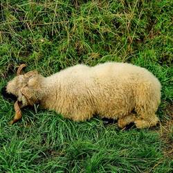 Beim Saunieren entdeckt!