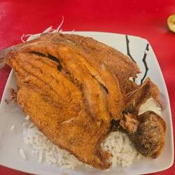 Trucha, Forelle aus dem Titicacasee