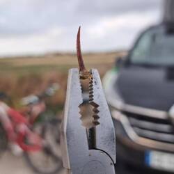 Dans le pneu de Nanny😆