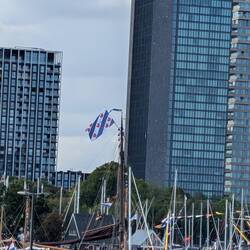 Die Friesische Flagge, auch extrem oft vertreten