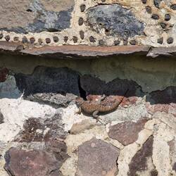 Originale Mauer unten, restaurerte Mauer oben