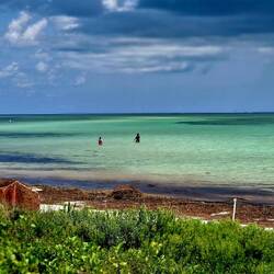 Sandspur Beach