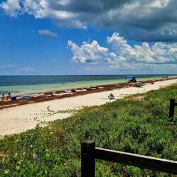Sandspur Beach