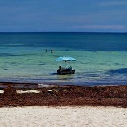 Sandspur Beach
