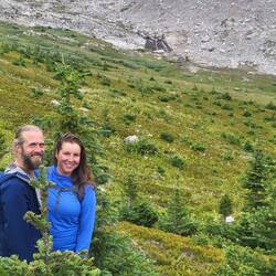Neben vielen wilden Schafen, wurden an diesem Tag auch zwei wilde Touristen im Gebüsch gesichtet