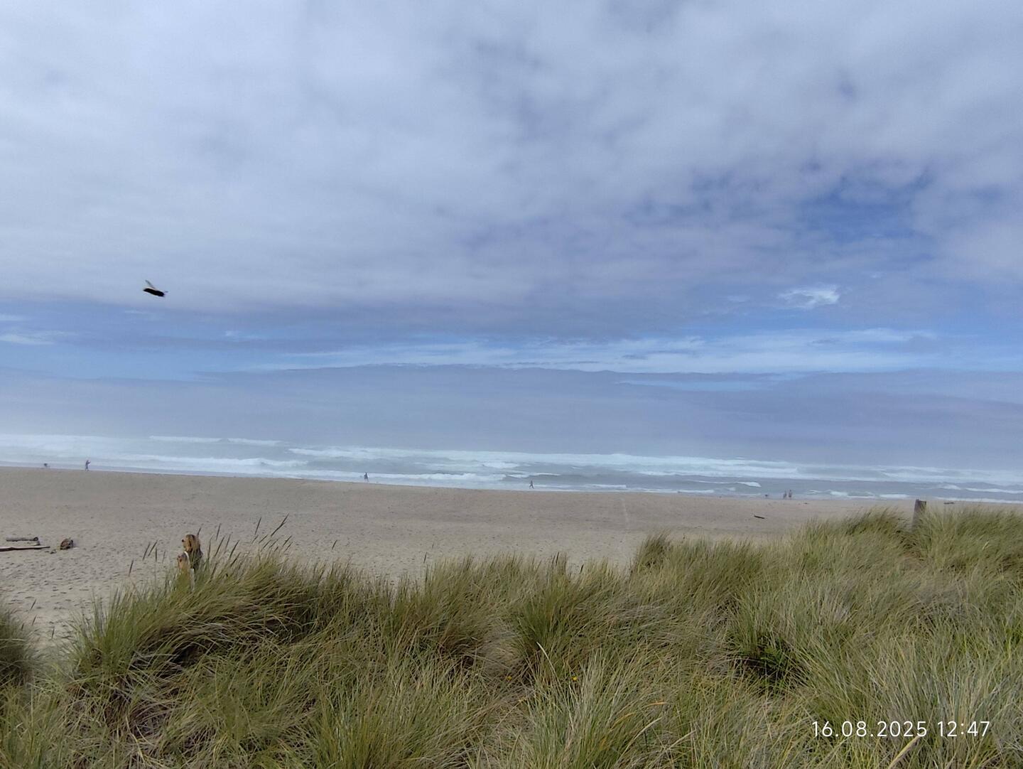 Ozean und Horizont - grau in grau