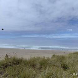 Ozean und Horizont - grau in grau
