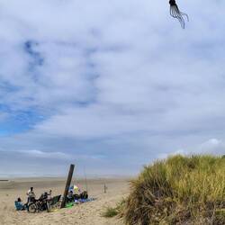 Sogar die Meeresbewohner haben sich an den Himmel verirrt 🤔