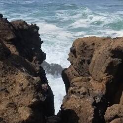 Ein paar Pflanzen verschaffen sich Halt 👏