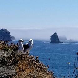 Ganz hübsch hier, oder?