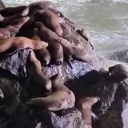 ... jede und jeder ein Plätzchen zum Ausruhen ergattert hat 🥱