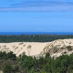 Oregon Dunes
