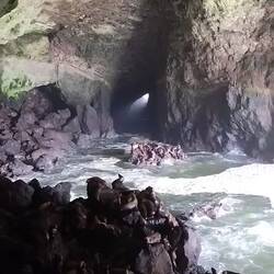 Ganz schön was los bei den Lions, bis mal ...